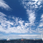 regata2 copymal
