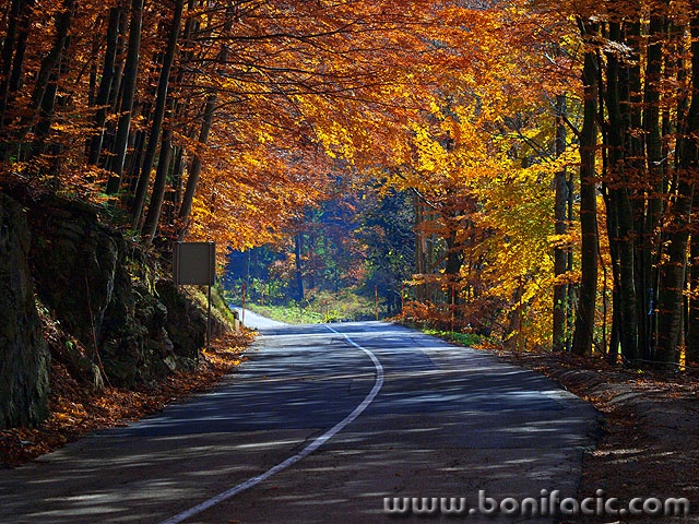 PB020211 copy