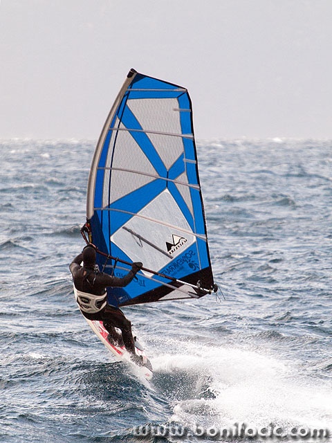 surf4 copymal