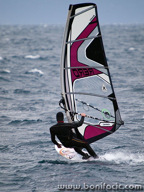 surf11 copymal