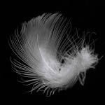 bw___Ultra Light___