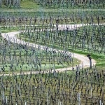 vrbanskopoljecesta1mal