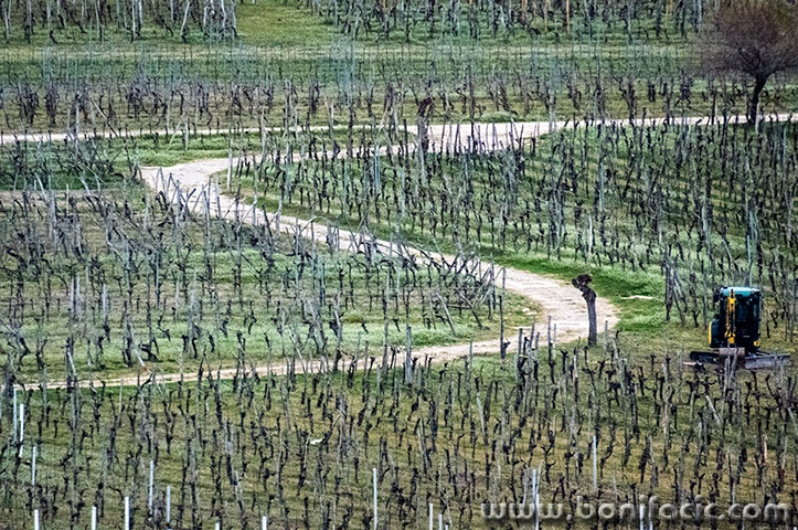 vrbanskopoljecesta1mal