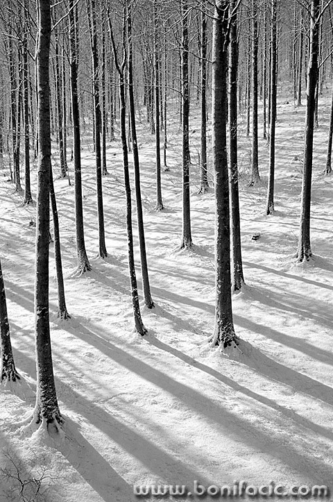 risnjaksumasnigsjenebw1mal