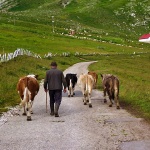 durmitordedakrave1mal