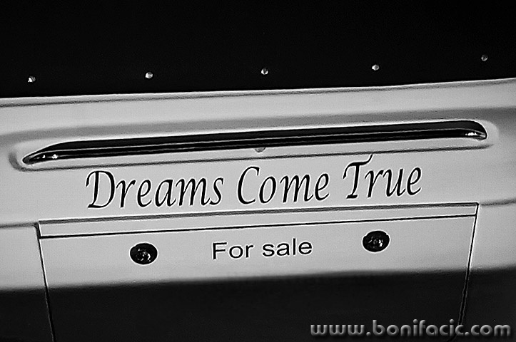 dreamscometrueforsalebw1mal
