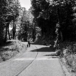 cestagomirjededavricapas1bwmal