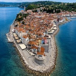 piranaerial2mal