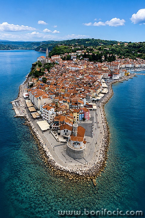 piranaerial2mal