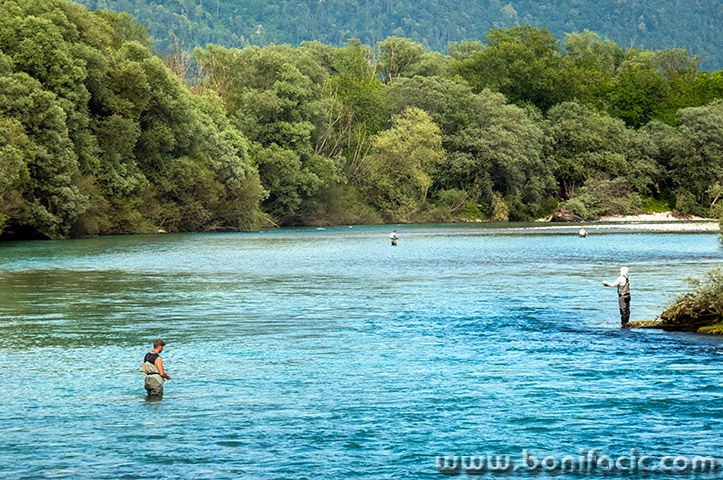 bovec10mal