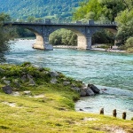bovec19mal