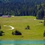lagofiusine6mal