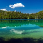 lagofusine1mal
