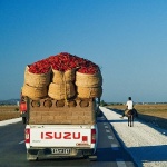 travel___Red Hot Chili Papers___Hammamet, Tunisia.