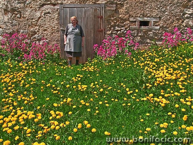 people___Springtime___Modrus, Croatia.