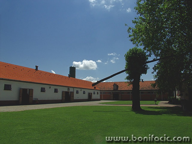 travel___Yard___Djakovo, Croatia.