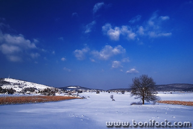 nature___Blue Sky___Carevo Polje, Croatia.