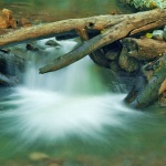 nature___Brook Fall___Zeleni Vir, Croatia.