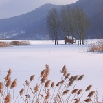 nature___Brumal___Svica, Croatia.