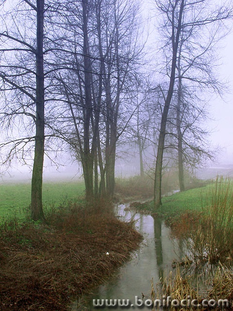 nature___Brook___Josipdol, Croatia.