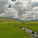 nature___Cloudy Field___Jezerane, Croatia.