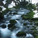 nature___Cold Creek___Kamacnik, Croatia.