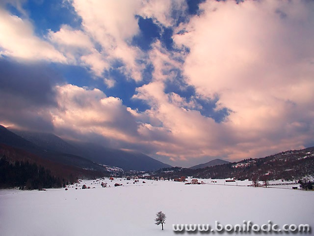 nature___Conductor___Krasno, Croatia.