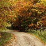 nature___Curve___Fuzine, Croatia.