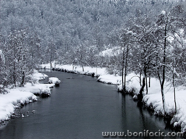 nature___Cry Me A River___Luke, Croatia.