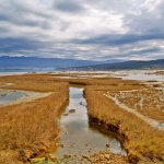 nature___Delta___Soline, Croatia.