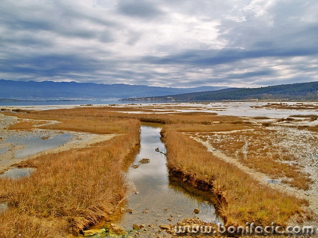 nature___Delta___Soline, Croatia.