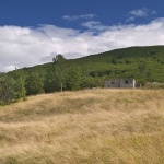 nature___Dry___Gornje Jelenje, Croatia.