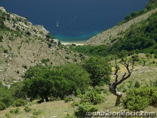 nature___Down On The Beach___Cres, Croatia.