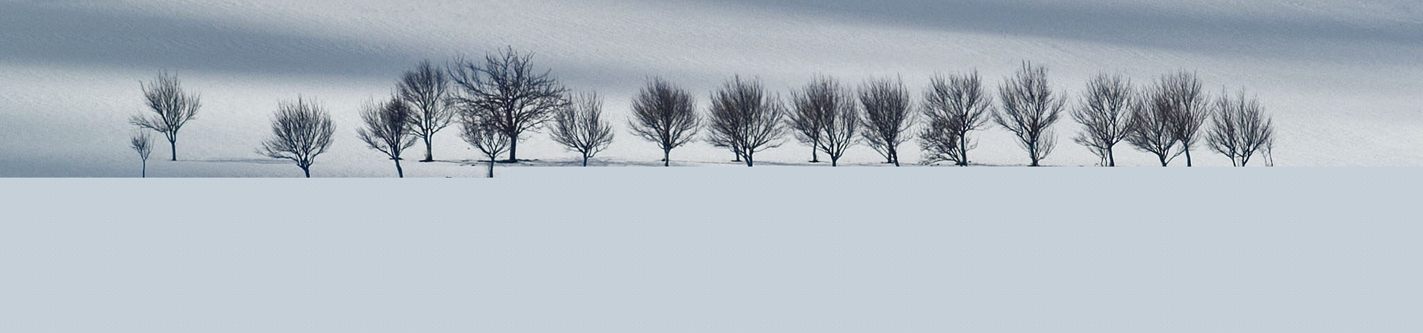 panorama___Line___Krasno, Croatia.