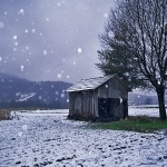 nature___First Snow Flakes___Ogulin, Croatia.
