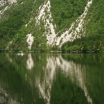 nature___Fish___Bohinj, Slovenia.