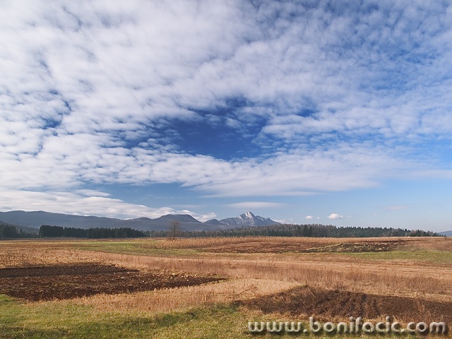 nature___Fields___Ogulin, Croatia.