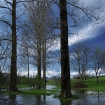 nature___Flooded___Josipdol, Croatia.