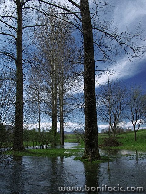 nature___Flooded___Josipdol, Croatia.