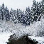 nature___Frozen___Licka Jesenica, Croatia.