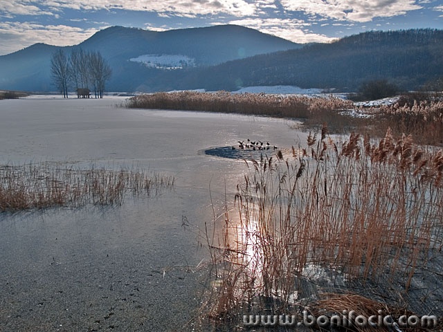 nature___Frozen Lake___Svica, Croatia.