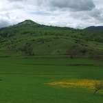 nature___Gradina___Modrus, Croatia.