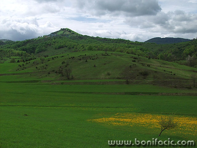 nature___Gradina___Modrus, Croatia.