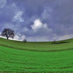 nature___Green Vale___Jezerane, Croatia.
