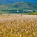nature___Harvest Time___Plaski, Croatia.