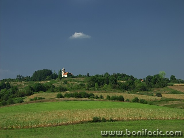 nature___Holyfield___Kordun, Croatia.