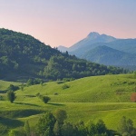 nature___Intruder___Vrbovsko, Croatia.