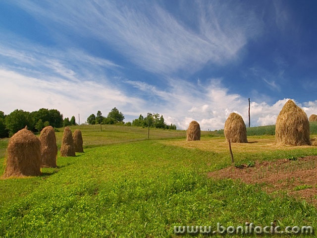 nature___In Summertime___Gomirje, Croatia.