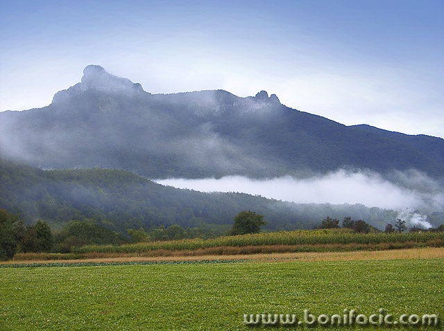 nature___Level With The Ground___Ogulin, Croatia.