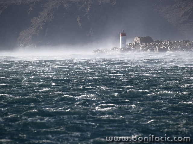 nature___Ligature___Bjelolasica, Croatia.